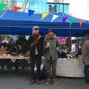 알라스카&알파 네이버블로그