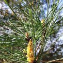 송화농장 이미지