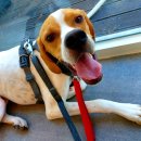 원러브동물의료센터 이미지