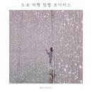 도쿄 여행 팀랩 보더리스 | 짐보관 | 여름 도쿄 실내 명소 | 포토존 추천