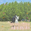 에스앤리파트너스 | 서울 셀프 웨딩 스냅촬영 노을공원 소품 추천 조화 부케 베일 후기