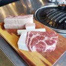 돈가맛돼지 이미지