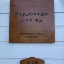 스테이청포 이미지