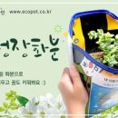 주식회사 원디자인 이미지