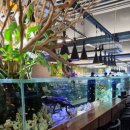 단짠아쿠아 평화점 이미지