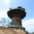 더빅트리