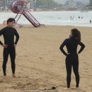 서프베이 이미지