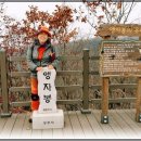 송전농장 이미지