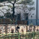 금호동 동백아파트 | 버섯파인데 표고버섯을 못 먹게되다니