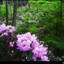 보현유통 이미지