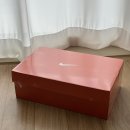 4306 | 나이키 인피니티런4(HF4306-100) 입문용 러닝화 후기