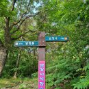 석장승(남장사) 이미지