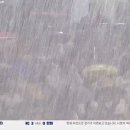 이정도우