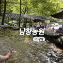 광주 근교 남창계곡 장성 남창농원 백숙 닭볶음탕 주말 방문 후기