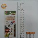 완도17호 이미지