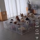 영화유치원