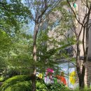 라임 동물병원 이미지