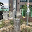 초록의 여름과 고성의 또간집, 카페 테일(tail)