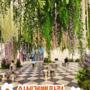 나들정원 | 부산 실내 가볼만한곳 신세계 센텀시티 모네의 정원 후기 (아이와 방문)