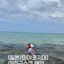 거북이약국 - 달성군 테크노대로 61 | [일본 / 미야코지마] 진에어 직항 아이와 여행! 아라구스크 거북이 솔직후기(샤워실 팁)+도심 에어비앤비
