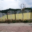 순풍농장 이미지