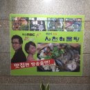 뉴송도약국 이미지