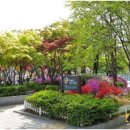 구로리공원 이미지