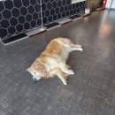 커피주택 - 수원시 팔달구 일월로42번길 8-15 | 삼척 오션뷰 카페 평화주택커피 내돈내산 후기｜바다멍 하기 좋은 숨은 명소