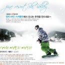양지스포츠 - 중구 을지로 | 양지스포츠