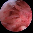 나래병원 이미지