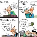 [명박퇴진]틈새논평-요즘 배추값이 올라버린 원인과 정신 못차린 정부,여당. 이미지