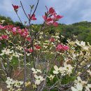 개화농장 이미지