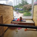 해피펫클럽 이미지