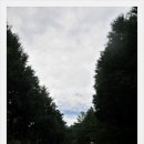 영화마을 이미지