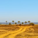 한국 비자 행정사 이미지
