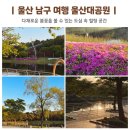 지에스(GS)25 울산남구동문점 | 울산 봄꽃 명소 남구 울산대공원 정문 주차장 정보