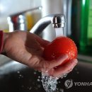 과일야채