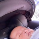 서전주유치원 이미지