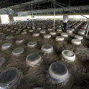 한상준농장 이미지