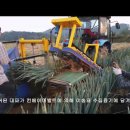 두루주