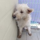 청하면농업인상담소 이미지