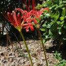 백운사 경내 이미지