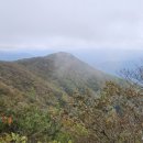 무주읍137 이미지