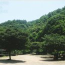 다촌캠핑장 Daum카페