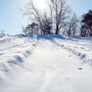 청암관광농원 이미지