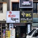 1358 | 만원의 행복 나홀로 즐기는 즉석떡볶이 | 가성비가 흘러넘치는 신촌떡볶이 오신다떡볶이