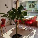 조마루로85번길 18 이미지