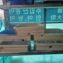 목포홍어협동조합 이미지
