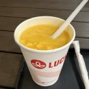 (주)윈플러스마트중부 | 푸꾸옥 자유여행 1-4일차 | 북부/중부