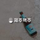 제주바바 딜사이트